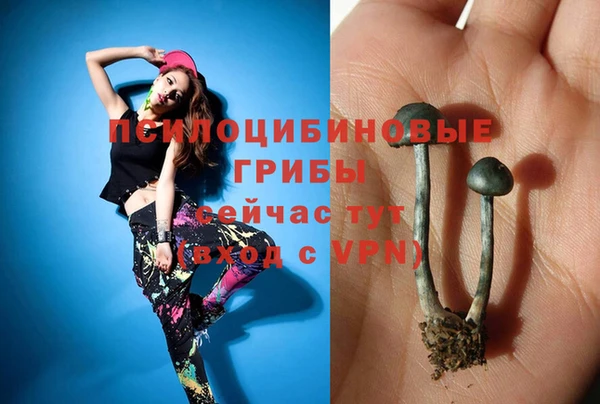ГАЛЛЮЦИНОГЕННЫЕ ГРИБЫ Алексин