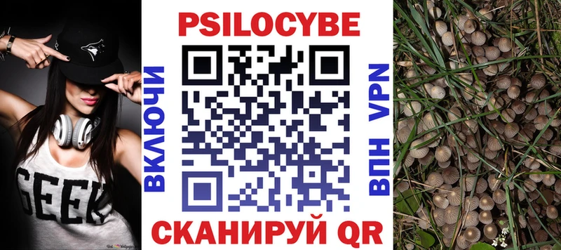 Псилоцибиновые грибы прущие грибы  Петрозаводск 